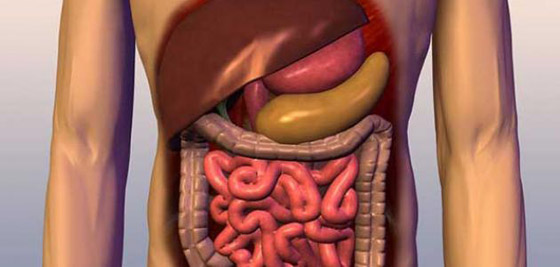 ما خطورة الحبوب 