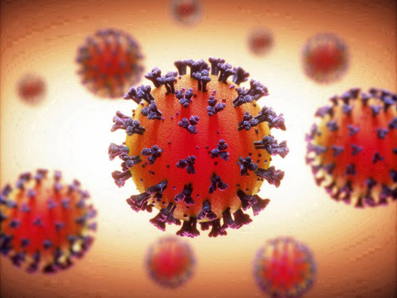 كوفيد-22.. لماذا يتوقع العلماء تفشيه؟ وماذا نعرف عنه؟ صورة رقم 6