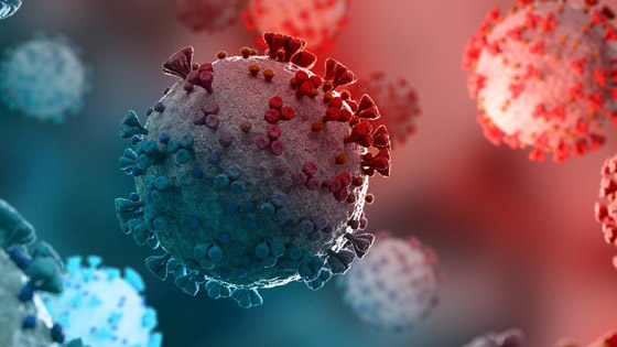 كوفيد-22.. لماذا يتوقع العلماء تفشيه؟ وماذا نعرف عنه؟ صورة رقم 7