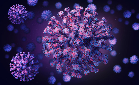 كوفيد-22.. لماذا يتوقع العلماء تفشيه؟ وماذا نعرف عنه؟ صورة رقم 4