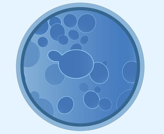 داء فطر البقع البيضاء.. تحذير من بكتيريا نادرة تشكل تهديدا عالميا! صورة رقم 3 داء فطر البقع البيضاء.. تحذير من بكتيريا نادرة تشكل تهديدا عالميا! صورة رقم 3