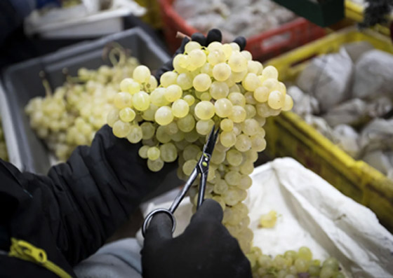 بالصور: إليكم 10 أطباق تقليدية شهية حول العالم تُعد احتفالا بالعام الجديد صورة رقم 2 بالصور: إليكم 10 أطباق تقليدية شهية حول العالم تُعد احتفالا بالعام الجديد صورة رقم 2