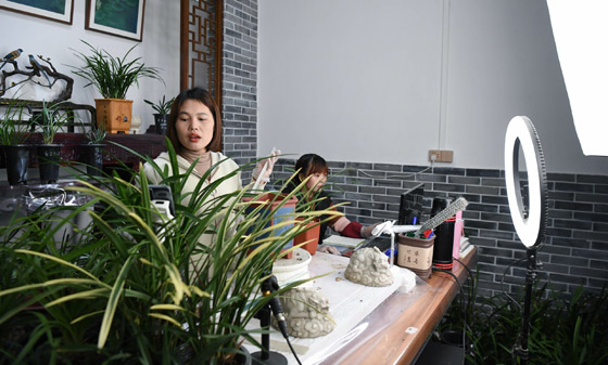 نصائح للعناية بالنباتات المنزلية في الشتاء صورة رقم 6