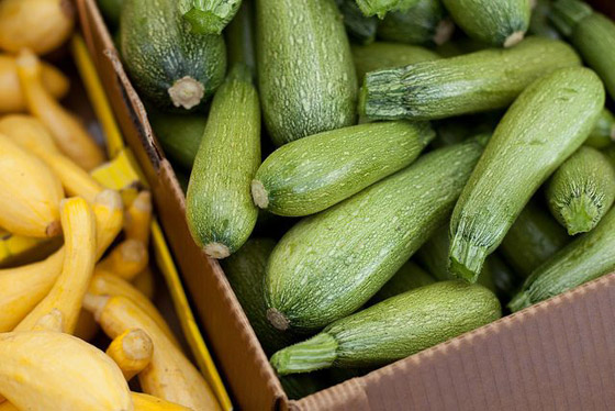 أمور وفوائد عليك أن تعرفها عن الكوسا صورة رقم 7