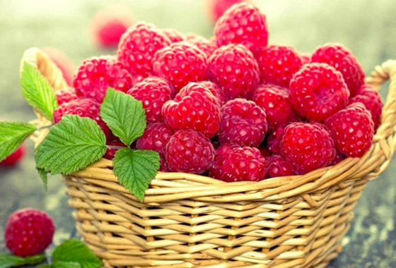 3 مكونات أضيفها إلى وجبة الإفطار.. للحفاظ على حدة ذاكرتك صورة رقم 3