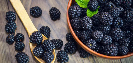 3 مكونات أضيفها إلى وجبة الإفطار.. للحفاظ على حدة ذاكرتك صورة رقم 8