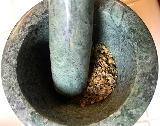 من الخبز إلى تشيز كيك.. إليكم أطعمة تاريخية ما زالت تؤكل حتى اليوم صورة رقم 10 من الخبز إلى تشيز كيك.. إليكم أطعمة تاريخية ما زالت تؤكل حتى اليوم صورة رقم 10