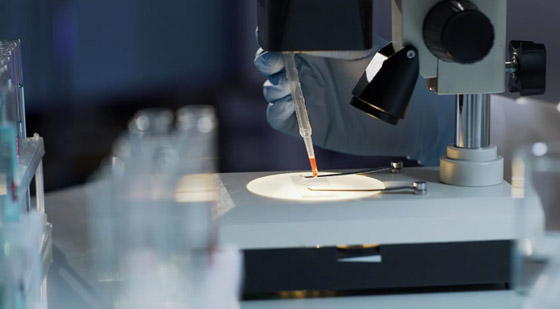 اكتشاف سلالة جديدة من الفيروس المسبب لـ”الإيدز”.. أصابت 109 أشخاص فقط حول العالم! صورة رقم 1