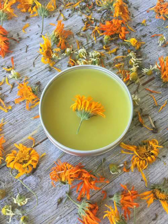 فوائد عشبة الأذريون للبشرة والشعر.. تعرفي إليها صورة رقم 1