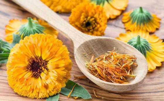 فوائد عشبة الأذريون للبشرة والشعر.. تعرفي إليها صورة رقم 5