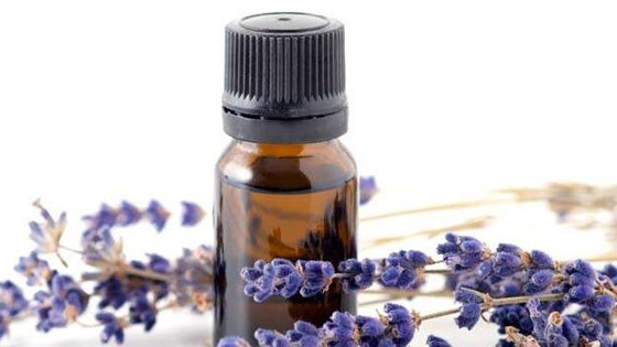 كيف يمكن الاستفادة من زيت اللافندر في روتين جمالك؟ صورة رقم 1