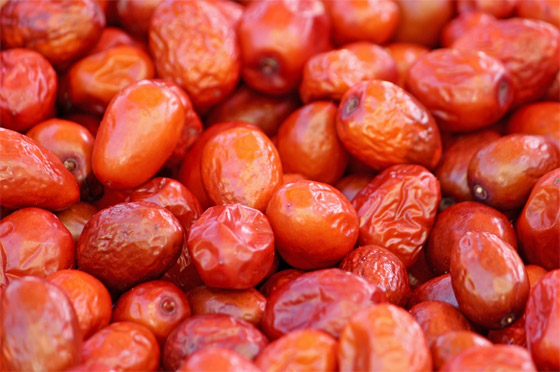 يعالج القلق ويقاوم السرطان.. 6 فوائد صحية لنبات السدر 