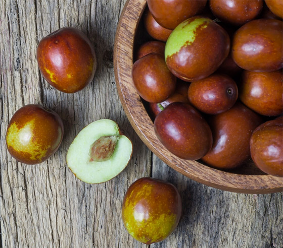 يعالج القلق ويقاوم السرطان.. 6 فوائد صحية لنبات السدر 