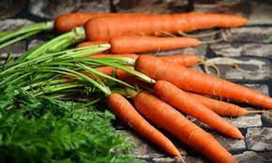 ما مزايا زيت الجزر لشعرك.. وكيف تستخدميه؟ صورة رقم 4