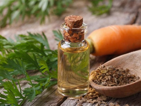 ما مزايا زيت الجزر لشعرك.. وكيف تستخدميه؟ صورة رقم 7