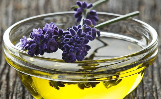 7 مكونات سحرية تحتاجها البشرة والشعر في فصل الشتاء صورة رقم 7