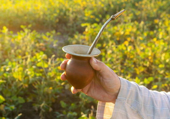 شاي ميسي المفضل.. دراسة صاعقة لعلاقته بخطر السرطان! صورة رقم 6 شاي ميسي المفضل.. دراسة صاعقة لعلاقته بخطر السرطان! صورة رقم 6