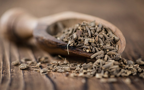 تهدئ الأعصاب وتعزز النوم.. إليكم فوائد عشبة الناردين 