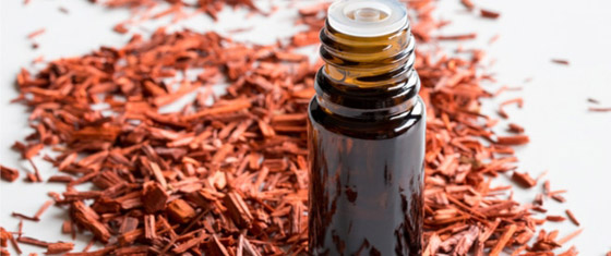 فوائد واستخدامات خشب الصندل لبشرتك صورة رقم 12