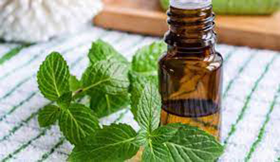 زيوت عطرية تساعد في علاج الإمساك صورة رقم 2