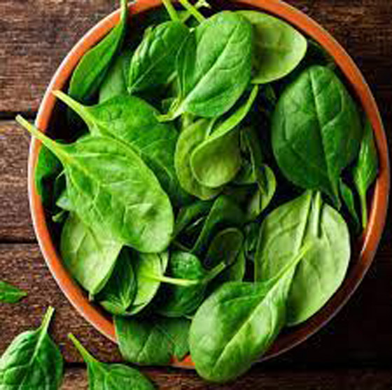 هذا أفضل نوع من الخضروات للتمتع بصحة معرفية جيدة صورة رقم 7