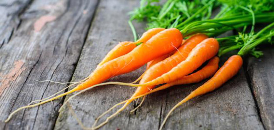 هل توجد أطعمة بسعرات حرارية سلبية؟ صورة رقم 3