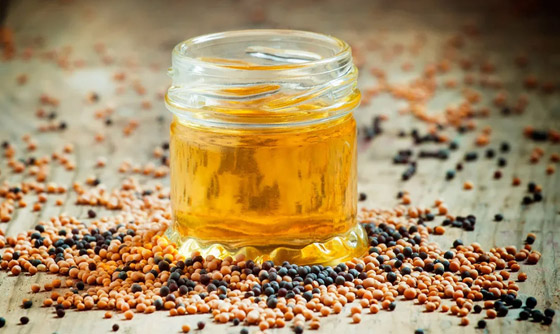 يعزز صحة القلب.. فوائد زيت الخردل الصحية وأضراره عند سوء الاستخدام صورة رقم 1 يعزز صحة القلب.. فوائد زيت الخردل الصحية وأضراره عند سوء الاستخدام صورة رقم 1