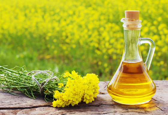 يعزز صحة القلب.. فوائد زيت الخردل الصحية وأضراره عند سوء الاستخدام صورة رقم 2 يعزز صحة القلب.. فوائد زيت الخردل الصحية وأضراره عند سوء الاستخدام صورة رقم 2