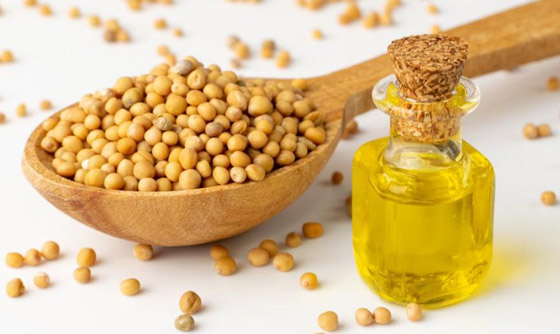 يعزز صحة القلب.. فوائد زيت الخردل الصحية وأضراره عند سوء الاستخدام صورة رقم 4 يعزز صحة القلب.. فوائد زيت الخردل الصحية وأضراره عند سوء الاستخدام صورة رقم 4