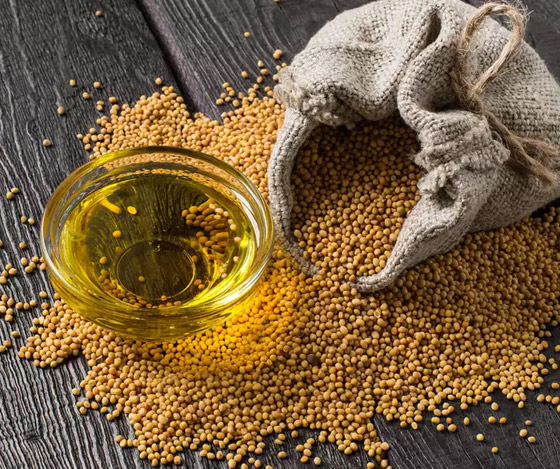 يعزز صحة القلب.. فوائد زيت الخردل الصحية وأضراره عند سوء الاستخدام صورة رقم 5 يعزز صحة القلب.. فوائد زيت الخردل الصحية وأضراره عند سوء الاستخدام صورة رقم 5