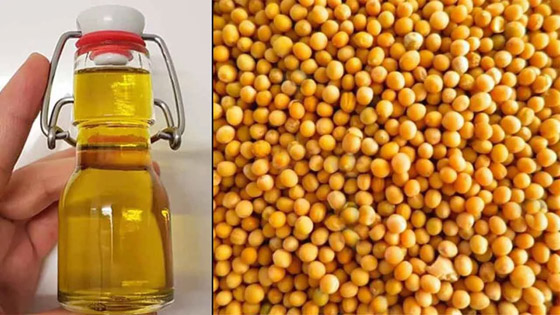 يعزز صحة القلب.. فوائد زيت الخردل الصحية وأضراره عند سوء الاستخدام صورة رقم 11 يعزز صحة القلب.. فوائد زيت الخردل الصحية وأضراره عند سوء الاستخدام صورة رقم 11