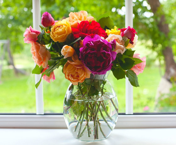 تقوي الذاكرة وتكافح التوتر.. 8 فوائد مذهلة لاستخدام الزهور بتزيين المنزل صورة رقم 3