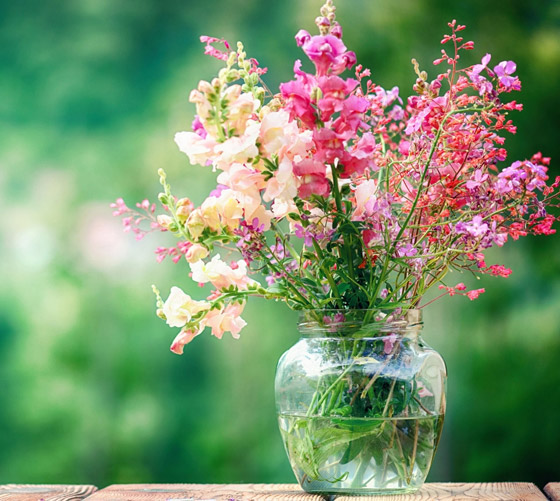 تقوي الذاكرة وتكافح التوتر.. 8 فوائد مذهلة لاستخدام الزهور بتزيين المنزل صورة رقم 8