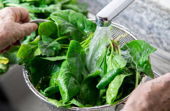 تقوي القلب وتقي من السرطان.. فوائد السبانخ لا تُحصى، لكن احذروا مخاطرها! صورة رقم 8