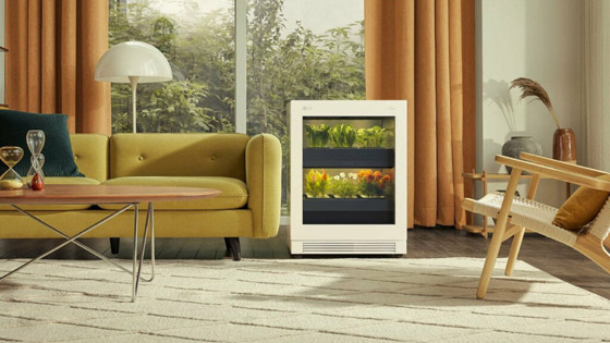 كيف تنسقين الورود باحترافية في منزلك؟ صورة رقم 5