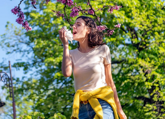 لتجنب نوبات الاختناق.. تعرفوا على المسببات الأكثر شيوعا للربو التحسسي صورة رقم 1