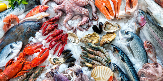 استعداداً لرمضان.. الأطعمة التي يمكنك تخزينها في «الفريزر» من الآن صورة رقم 6