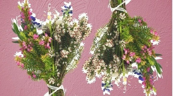 كيف تعتني بالأزهار البرية بعد قطفها؟ صورة رقم 1