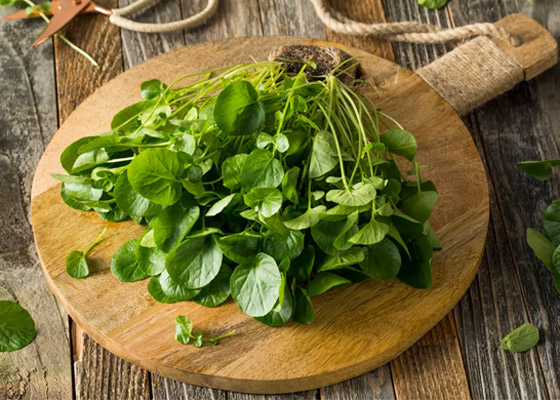 5 فوائد صحية تضع الجرجير على رأس قائمة الأطعمة الذهبية صورة رقم 1