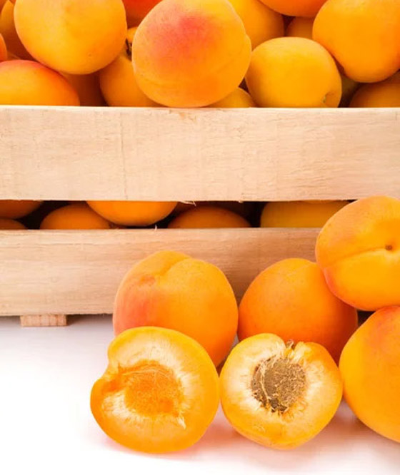 18 خيارا غذائيا أساسيا مذهلا لفقدان الوزن الزائد قبل موسم الصيف صورة رقم 2 18 خيارا غذائيا أساسيا مذهلا لفقدان الوزن الزائد قبل موسم الصيف صورة رقم 2