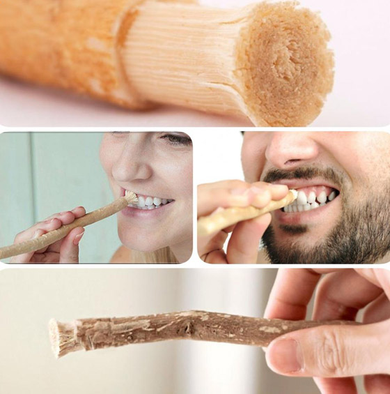 مضاد للبكتيريا ويمنع التسوس والتهابات اللثة.. تعرفوا على فوائد المسواك صورة رقم 5 مضاد للبكتيريا ويمنع التسوس والتهابات اللثة.. تعرفوا على فوائد المسواك صورة رقم 5