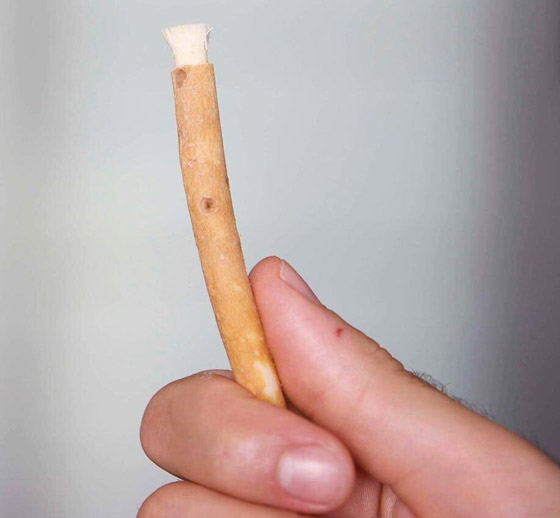 مضاد للبكتيريا ويمنع التسوس والتهابات اللثة.. تعرفوا على فوائد المسواك صورة رقم 6 مضاد للبكتيريا ويمنع التسوس والتهابات اللثة.. تعرفوا على فوائد المسواك صورة رقم 6