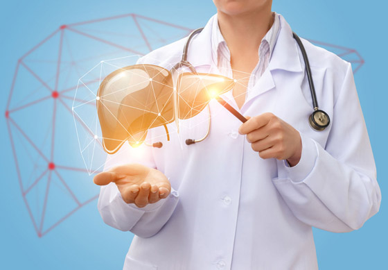 توت وكركم وليمون.. إليكم 8 أطعمة تحمي الكبد وتقيه من الأمراض صورة رقم 1 توت وكركم وليمون.. إليكم 8 أطعمة تحمي الكبد وتقيه من الأمراض صورة رقم 1