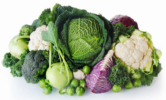 توت وكركم وليمون.. إليكم 8 أطعمة تحمي الكبد وتقيه من الأمراض صورة رقم 7 توت وكركم وليمون.. إليكم 8 أطعمة تحمي الكبد وتقيه من الأمراض صورة رقم 7