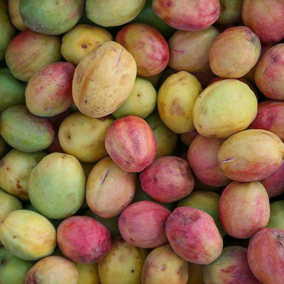 اليكم فوائد اللوز البجيلي... صورة رقم 3