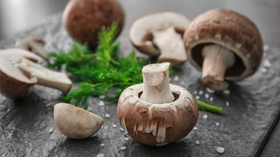 6 فوائد صحية عند تناول الفطر صورة رقم 6