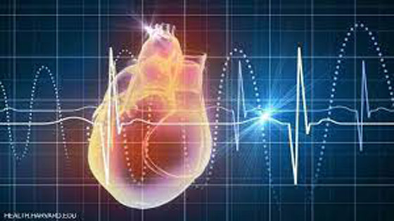أطعمة تؤثر على معدل ضربات القلب صورة رقم 5