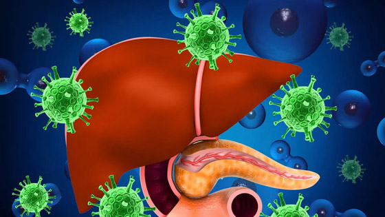 التهاب الكبد الغامض يواصل انتشاره! إصابات جديدة بكندا وآسيا تثير القلق صورة رقم 4 التهاب الكبد الغامض يواصل انتشاره! إصابات جديدة بكندا وآسيا تثير القلق صورة رقم 4