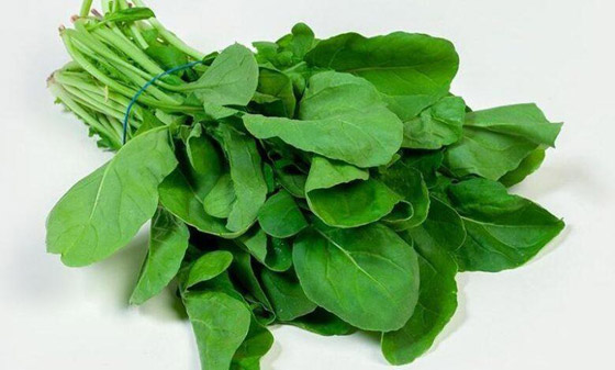 فوائد الجرجير لبشرة نضرة في العيد صورة رقم 3