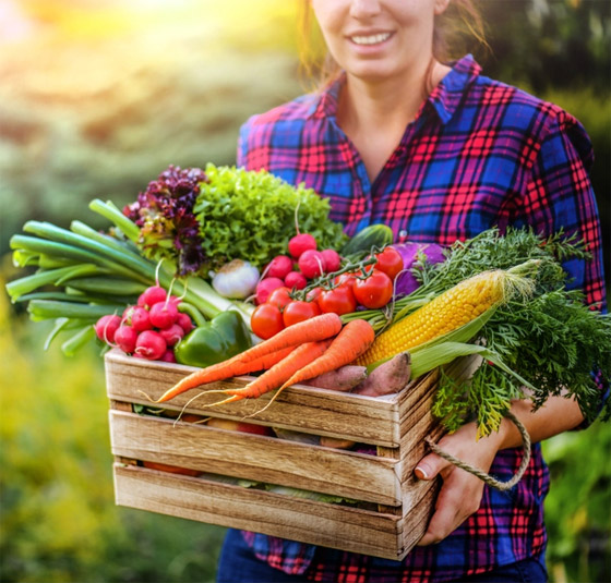 منخفضة السعرات وتمنح شعورا بالشبع.. 9 أطعمة ينصح بها لفقدان الوزن صورة رقم 7